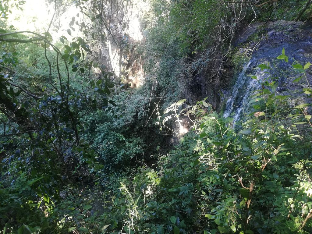 Salto Colmena Milenaria en San Pedro, Misiones