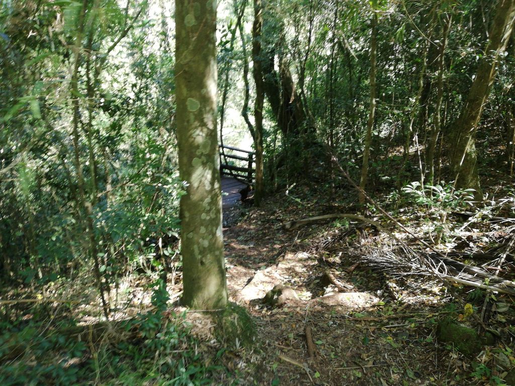 Cómo Prepararse para el Senderismo en Misiones: Guía Completa