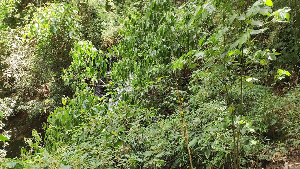 Salto Itú en Aristóbulo del Valle, Misiones