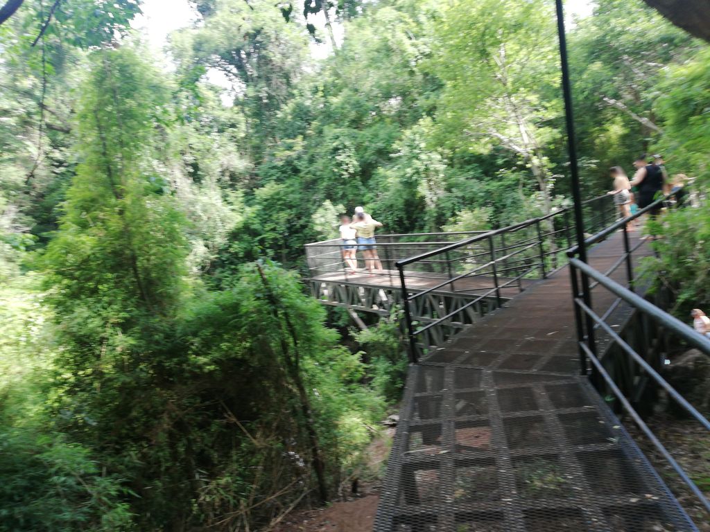 Salto La Gloria en San Pedro, Misiones
